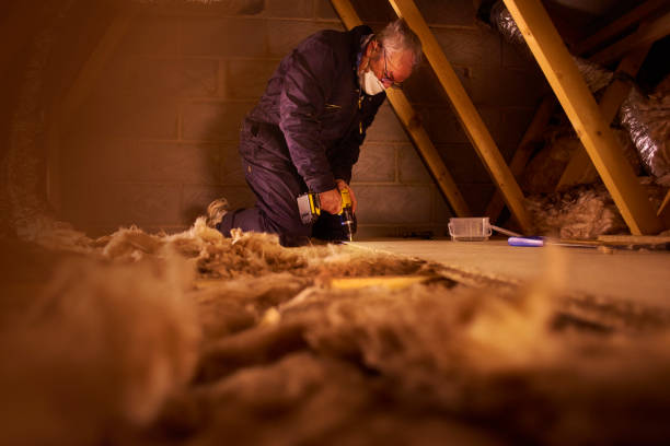 Types of Insulation We Offer in MI